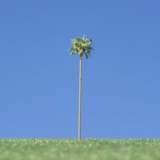 Palme