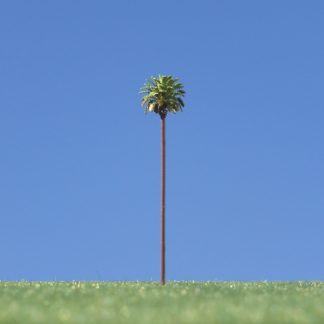 Kanarische Dattelpalme